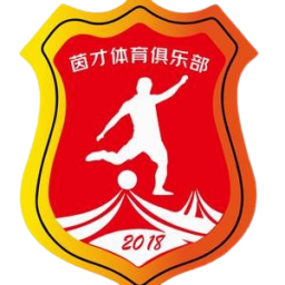 深圳新鵬城U20